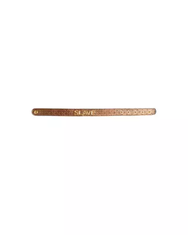 Collier Xplay by Allure élégant et durable pour animaux-3
