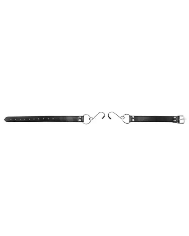 Image de Baillon Hook Gag de Ouch! by Shots pour jeux BDSM-1