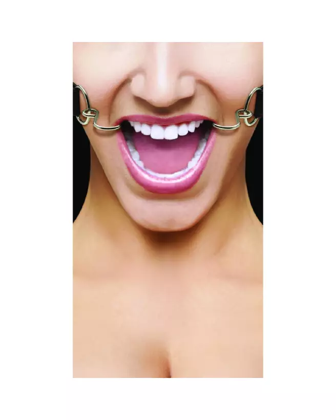 Image de Baillon Hook Gag de Ouch! by Shots pour jeux BDSM-3