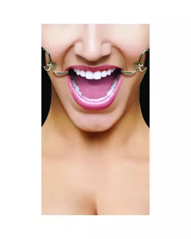 Image de Baillon Hook Gag de Ouch! by Shots pour jeux BDSM-4