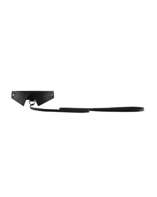 Collier et laisse de luxe Exclusive par Ouch! Shots pour chien, alliant style et confort-1