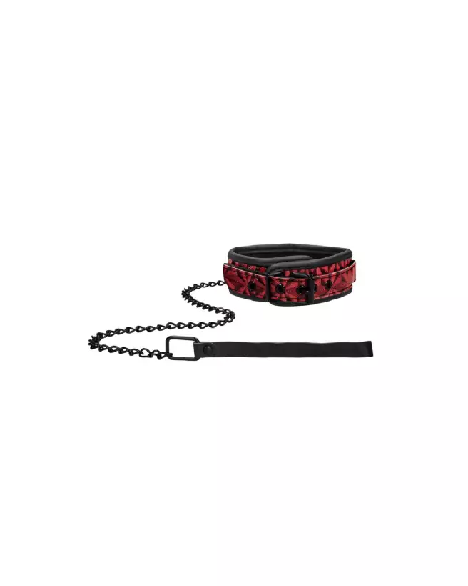 Collier et laisse de qualité Ouch! by Shots pour chiens-4