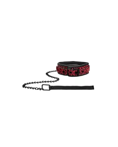 Collier et laisse de qualité Ouch! by Shots pour chiens-4
