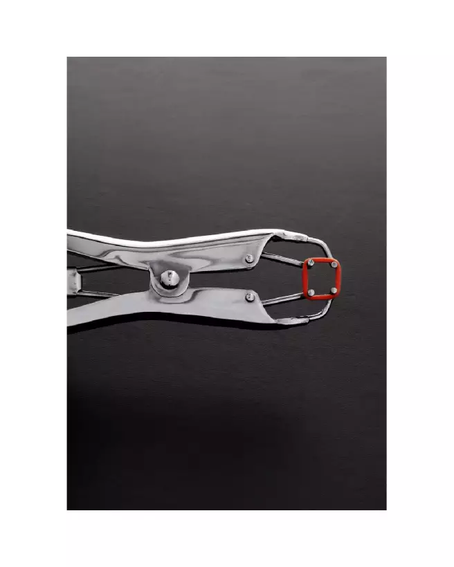 Pinces pour tétons en métal Steel by Shots, accessoire BDSM de haute qualité-3