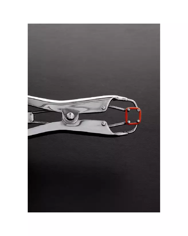Pinces pour tétons en métal Steel by Shots, accessoire BDSM de haute qualité-4