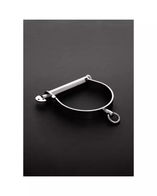 Image du Collier Darby en Métal de Steel by Shots, Taille Moyenne-1