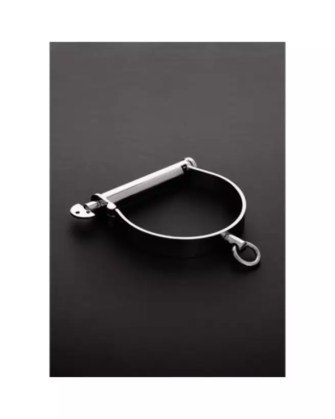Collier Darby Style en Métal de Steel by Shots pour Animaux Taille Large-1
