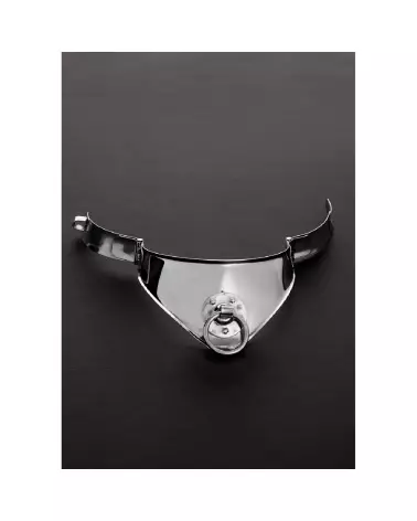 Image du Collier Cléopâtre avec Anneau en Métal de Steel by Shots, élégance et raffinement en 38 cm-3