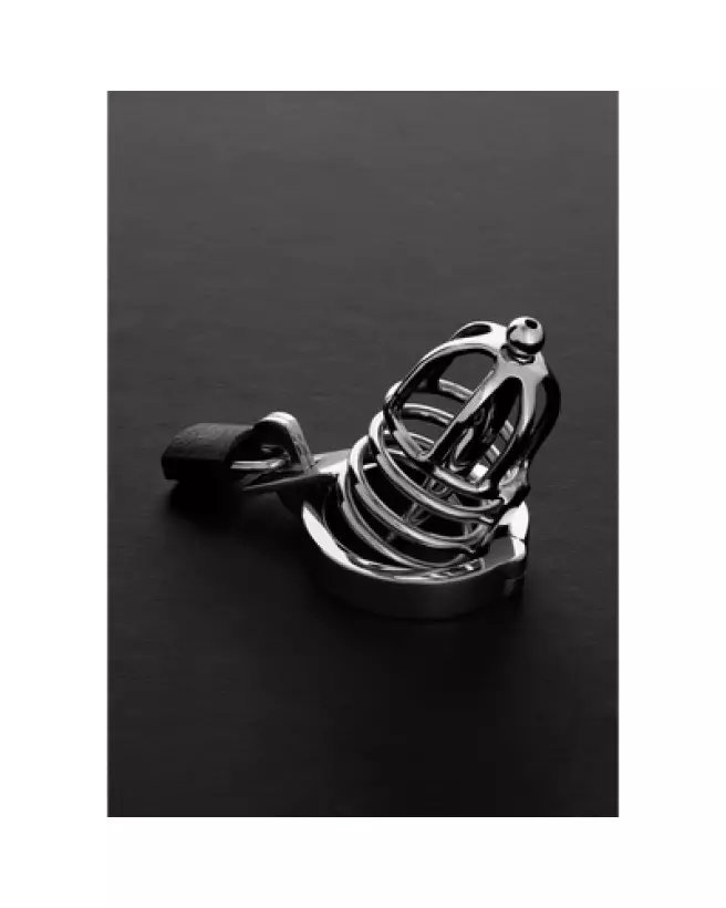 Image de la Cage de Chasteté Brutal en Acier par Steel by Shots-1