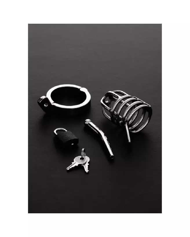 Image Cage de Chasteté Attica Steel by Shots en acier inoxydable 45mm-3