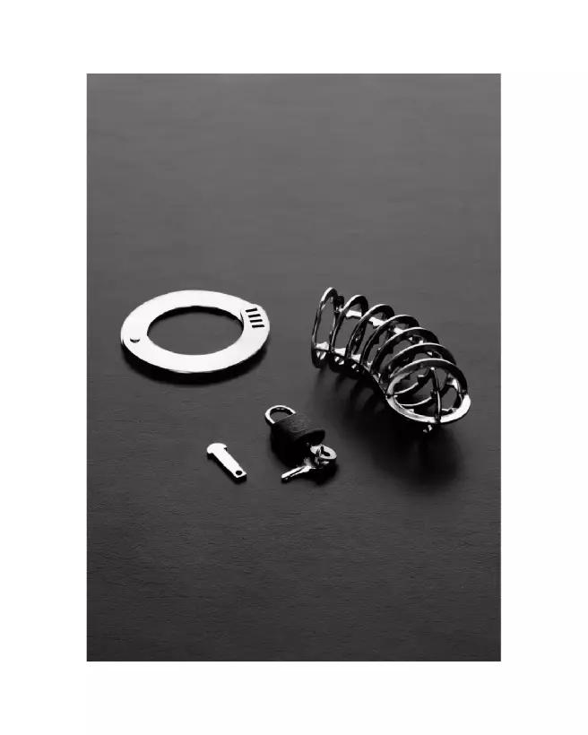 Cage de chasteté The Spiked de Steel by Shots en acier inoxydable pour BDSM-3