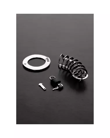 Cage de chasteté The Spiked de Steel by Shots en acier inoxydable pour BDSM-3