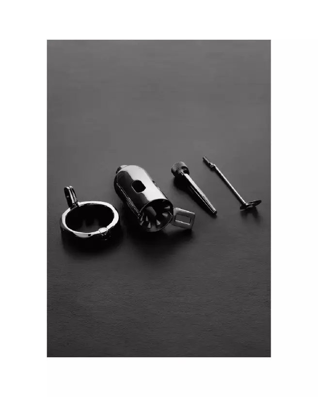 Image de The Pleasure Dome Chastity Cage par Steel by Shots - cage de chasteté en acier sécurisée et confortable-2