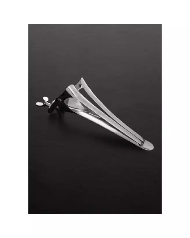 Speculum cheval grande taille 17x43 cm Steel by Shots-1