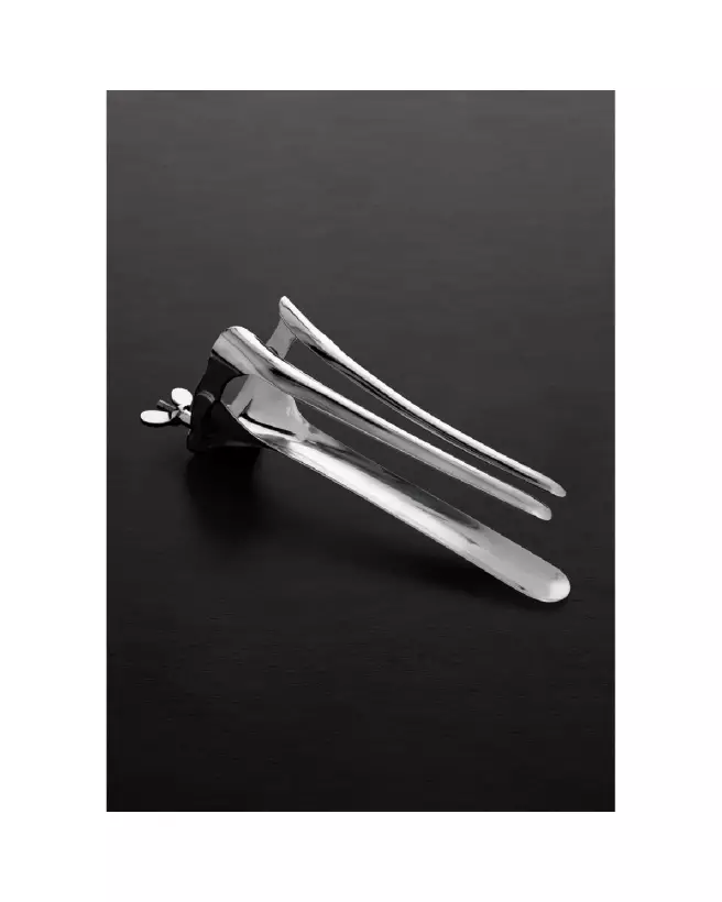 Speculum cheval grande taille 17x43 cm Steel by Shots-4
