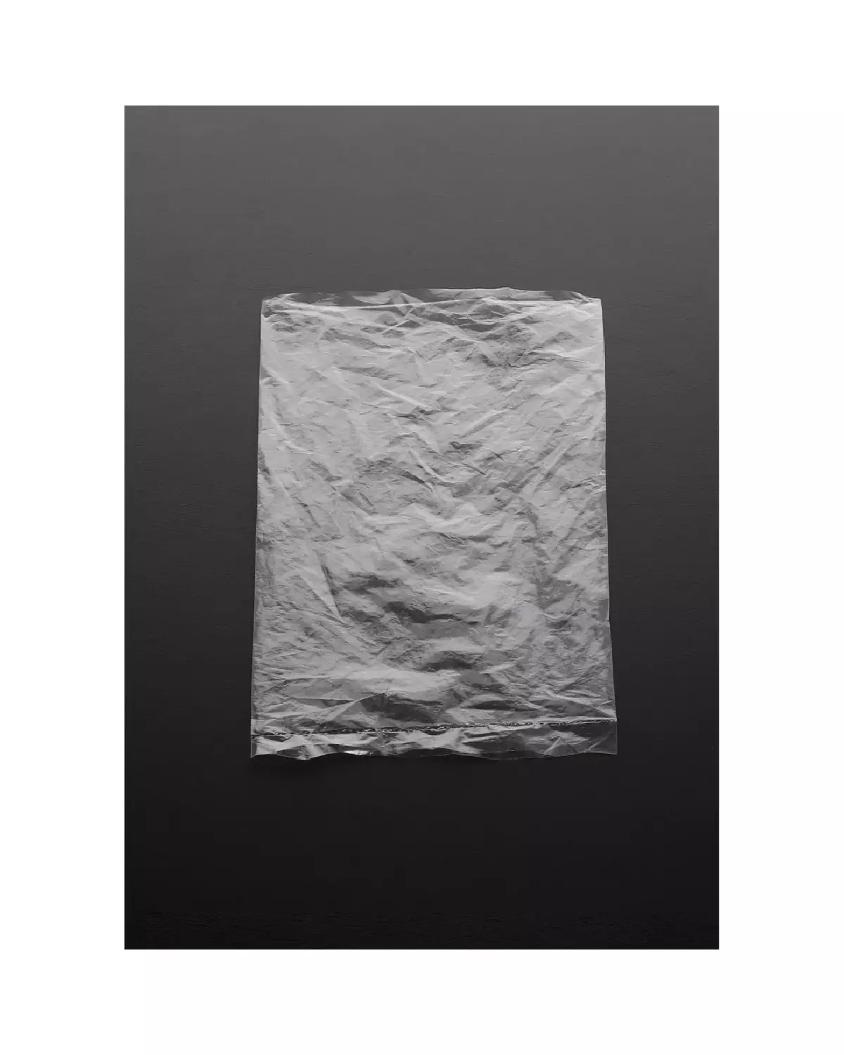 Skin Scraper Rome Catnail Skin Scraper Medium - Outil de Soins de Peau en Métal
