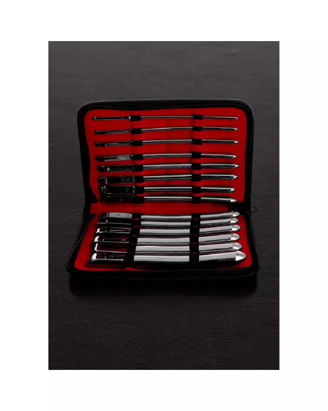 Image du kit de dilatateurs Single End en métal de Steel by Shots-2