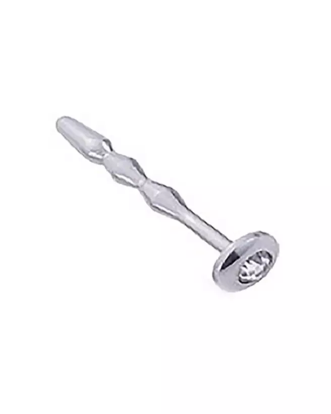 Image du Plug Anal Jewelled Rose en Métal de Steel by Shots-1