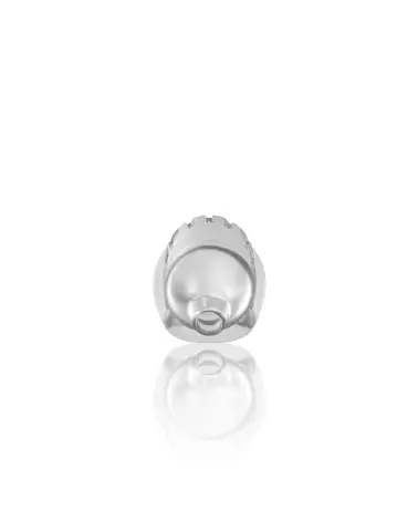 Cage de Chasteté ManCage Model 29 Transparente en TPE-5