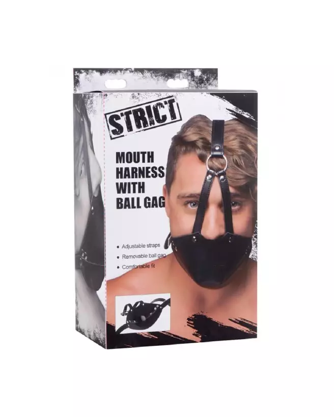 Image du Baillon Ball Gag de XR Brands pour jeux BDSM-2