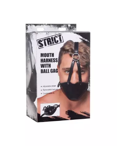 Image du Baillon Ball Gag de XR Brands pour jeux BDSM-2