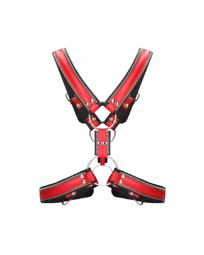 Harnais Z Series Scottish S/M pour homme par Ouch! by Shots, style écossais-2