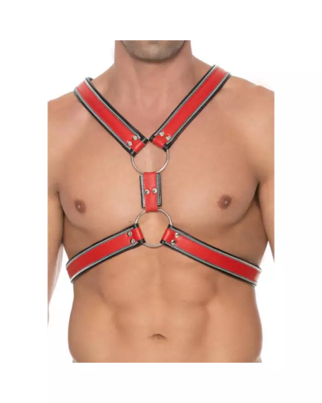 Image du Harnais Z Series Scottish L/XL par Ouch! by Shots - Style et Confort-1