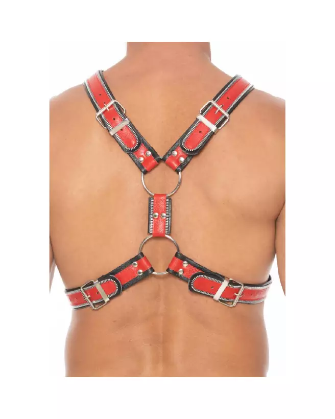 Image du Harnais Z Series Scottish L/XL par Ouch! by Shots - Style et Confort-5