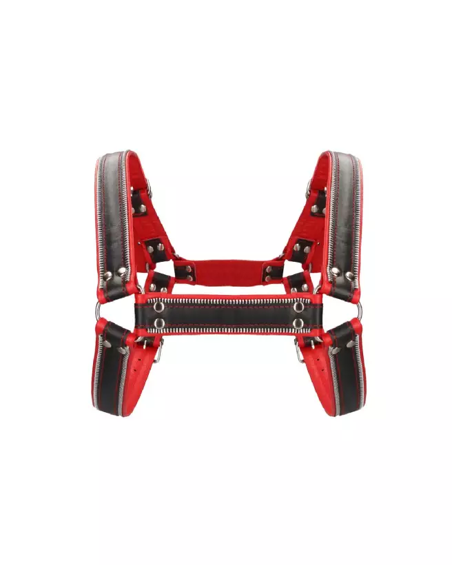 Image du Harnais Z Series Chest Bulldog S/M par Ouch! by Shots - Style et Confort-2