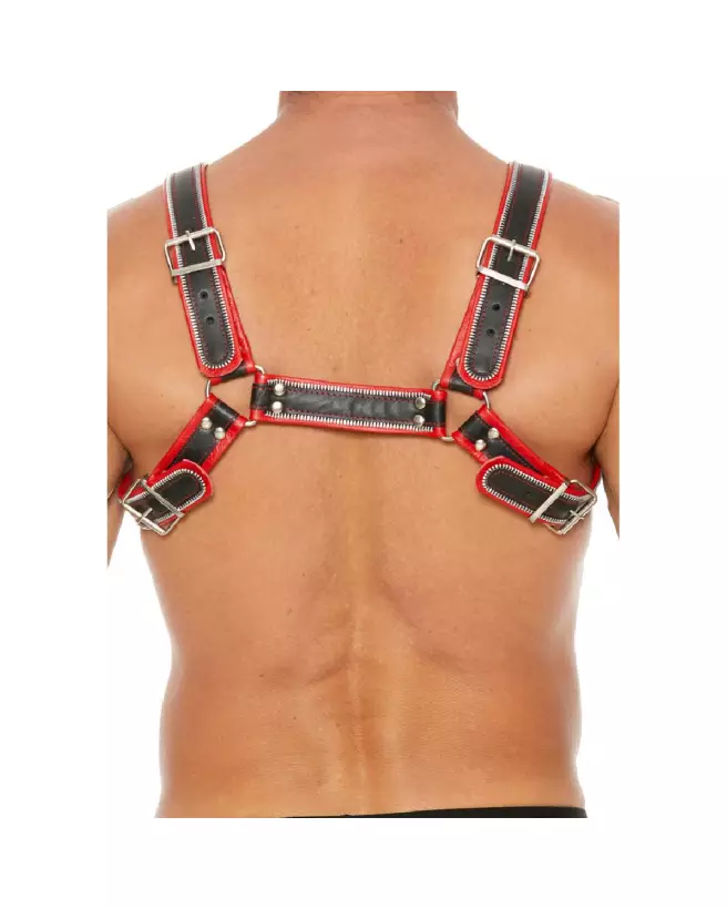 Image du Harnais Z Series Chest Bulldog S/M par Ouch! by Shots - Style et Confort-4