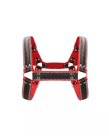 Harnais Z Series Chest Bulldog de Ouch! by Shots pour homme taille L/XL-2