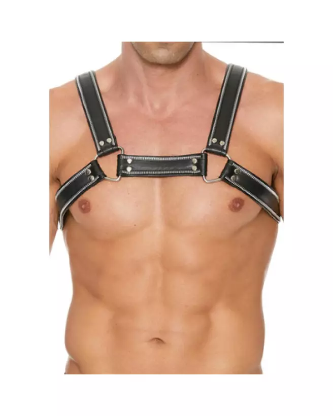Harnais Z Series Chest Bulldog S/M par Ouch! Shots pour homme-1