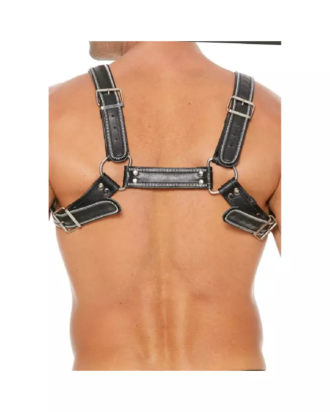 Harnais Z Series Chest Bulldog S/M par Ouch! Shots pour homme-3