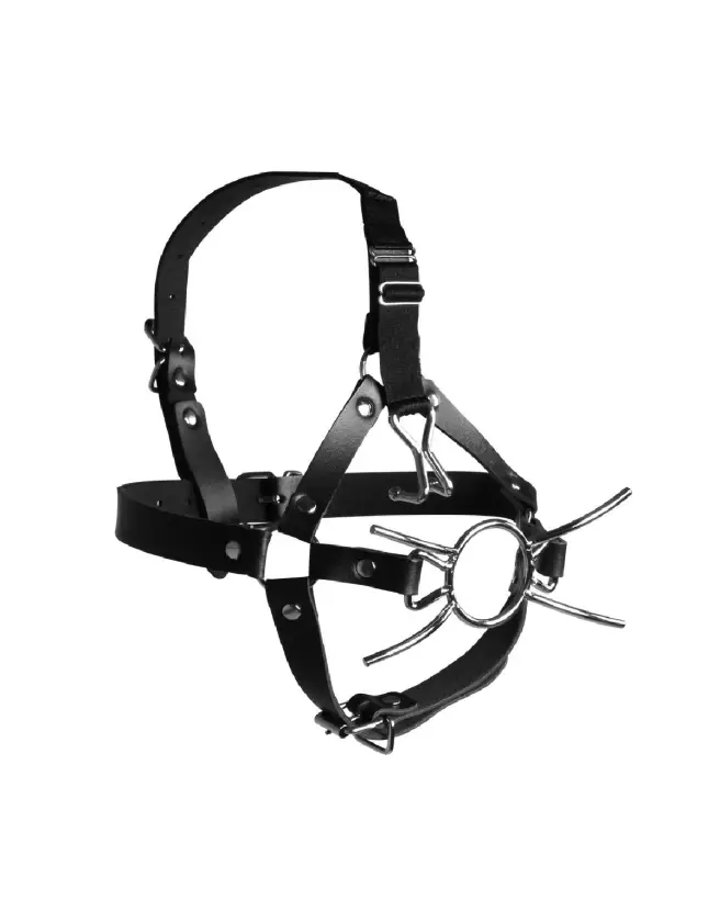 Head Harness with Spider Gag and Nose Hooks by Ouch! Shots in Black-4