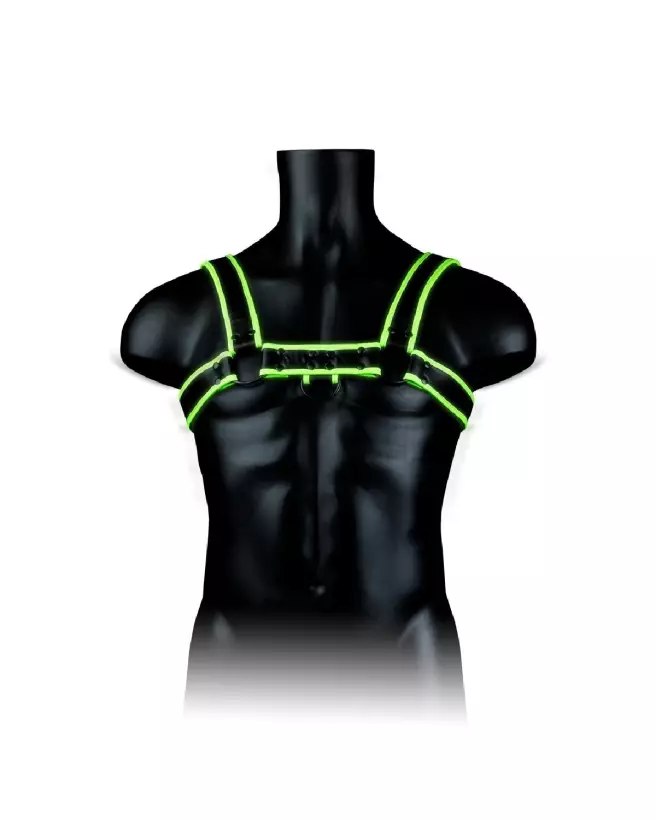Image du harnais Chest Bulldog Glow in the Dark L/XL par Ouch! by Shots-5