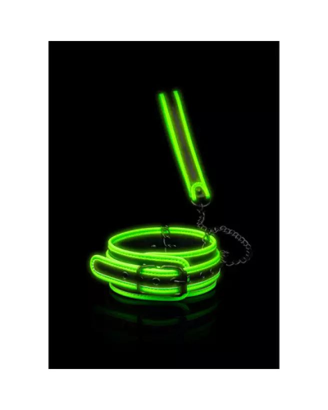 Collier et laisse phosphorescents pour chien Ouch! by Shots pour promenade nocturne sécurisée-1