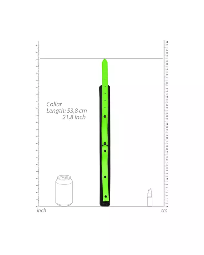 Collier et laisse phosphorescents pour chien Ouch! by Shots pour promenade nocturne sécurisée-5