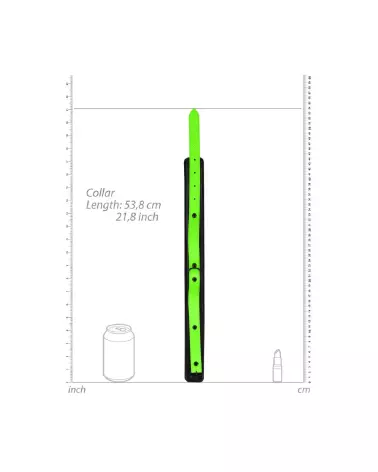 Collier et laisse phosphorescents pour chien Ouch! by Shots pour promenade nocturne sécurisée-5