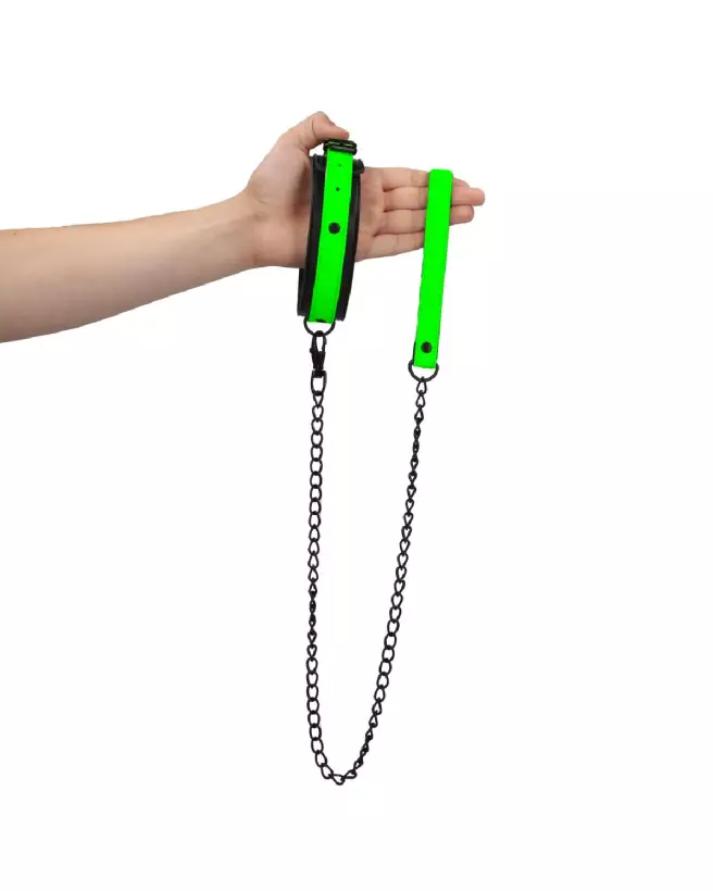 Collier et laisse phosphorescents pour chien Ouch! by Shots pour promenade nocturne sécurisée-6
