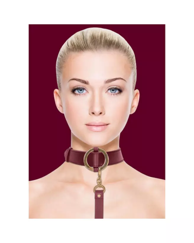 Collier et laisse luxueux pour chien de la marque Ouch! by Shots en action-1