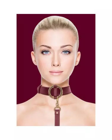Collier et laisse luxueux pour chien de la marque Ouch! by Shots en action-1