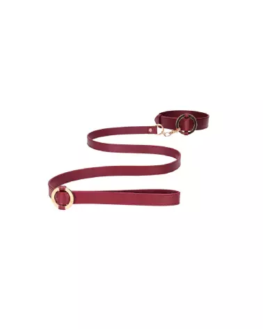 Collier et laisse luxueux pour chien de la marque Ouch! by Shots en action-4