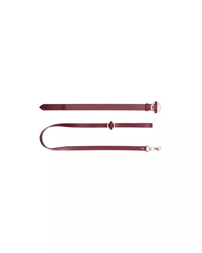 Collier et laisse luxueux pour chien de la marque Ouch! by Shots en action-5