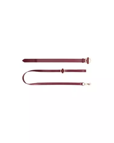 Collier et laisse luxueux pour chien de la marque Ouch! by Shots en action-5