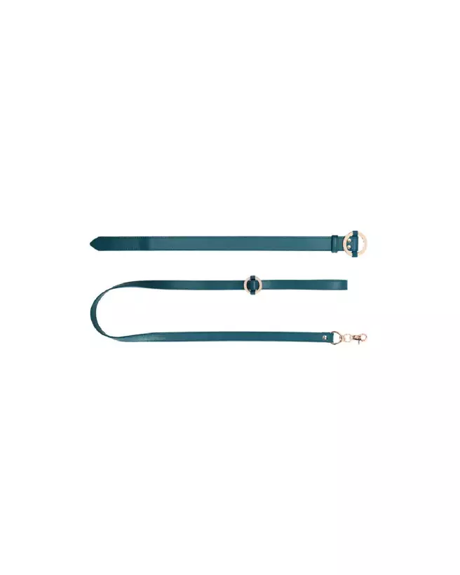 Image du Collier et Laisse Luxueux Ouch! by Shots pour animaux-5