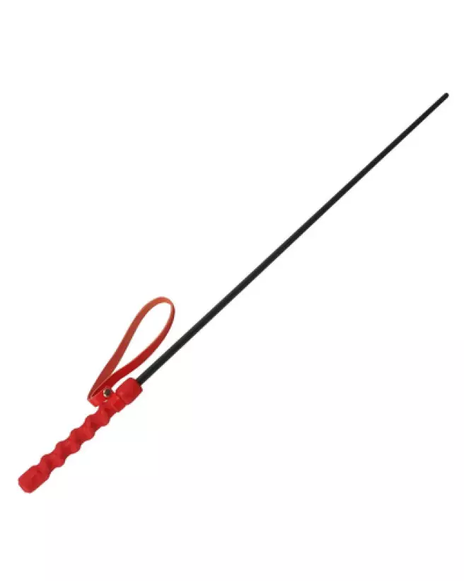 Canne Impact Rouge XR Brands pour jeux de domination-1