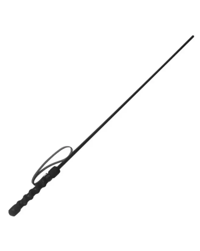 Cravache noire Intense Impact Cane de XR Brands pour BDSM-1