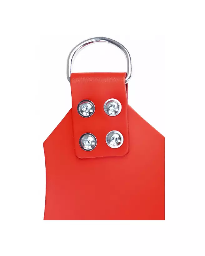 Photo de la Balançoire Sexuelle en Cuir à 4 Points Mr. Sling-5