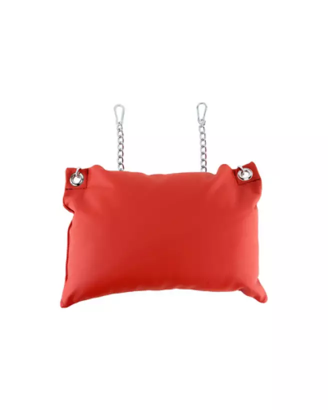 Image du coussin en cuir Mr. Sling, luxe et confort érotique-1