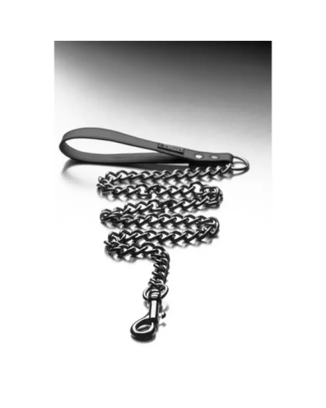 Collier Gun Metal Belt de XR Brands pour chiens, robuste et élégant-1